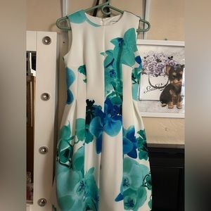 Calvin Klien Dress